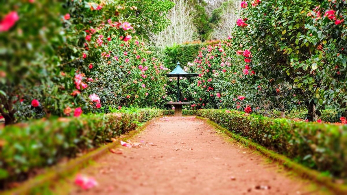 Garden landscaping and shade ideas UAE villas by Modern Shade